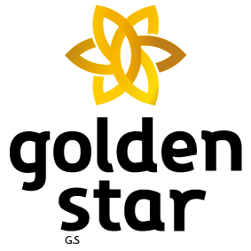 logo golden star